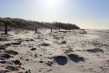 Bild vom Strand in Zingst Residenz am Strand Wohnung 2-40