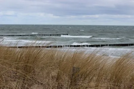 Bild vom Strand in Zingst Residenz am Strand Wohnung 2-40
