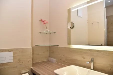 Badezimmer mti Dusche Logierhaus Friedrich WE 3 - "Klaas Störtebecker"