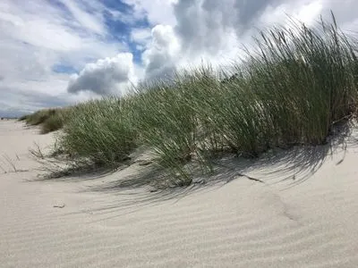 Strandbild Logierhaus Friedrich WE 9 - "Hohe Düne"