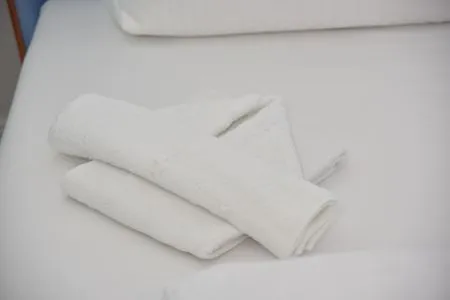 Handtuchdekoration Logierhaus Friedrich WE 13 - "Bernsteinglück"