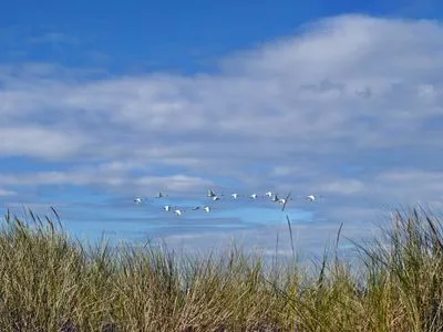 Dünenbild Kavelweg 13 Kavelweg 13 Wohnung 4 - Kleiner Käptn