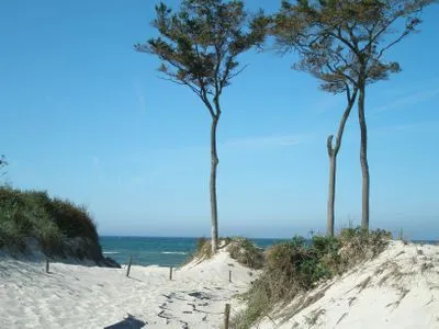 Strandbild Kavelweg 13 Kavelweg 13 Wohnung 4 - Kleiner Käptn