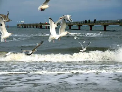 Seebrücke Zingst Kavelweg 13 Kavelweg 13 Wohnung 4 - Kleiner Käptn