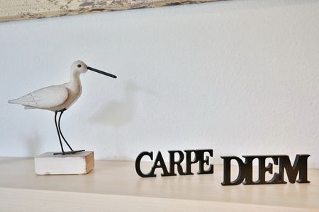 Carpe Diem Appartement 088