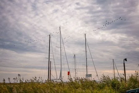 Vögel in der Luft Mühlenstrasse 23 - Wohnung Kranichblick
