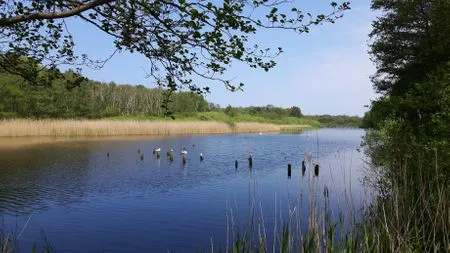 Prerower Strom Hafenstrasse 15 in Prerow Ibykus in Prerow