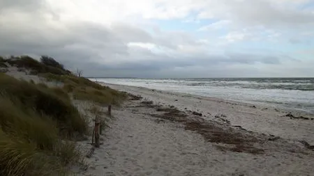 Strandbild Hafenstrasse 15 in Prerow Ibykus in Prerow