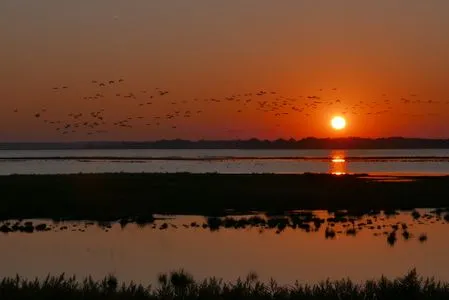 Sonnenuntergang Hafenstrasse 15 in Prerow Ibykus in Prerow