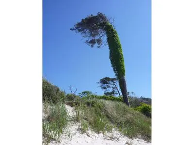 Strandbild Hafenstrasse 15 in Prerow Wolkenglanz in Prerow