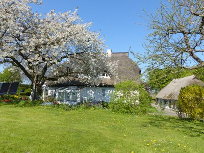 Im Feriengarten -Ferienwohnung im DG