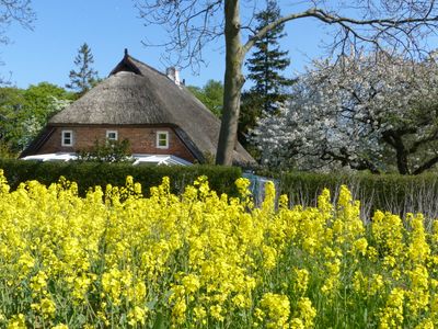 Im Feriengarten -Ferienwohnung im DG