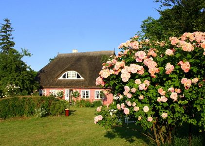 Im Feriengarten - Ferienwohnung EG