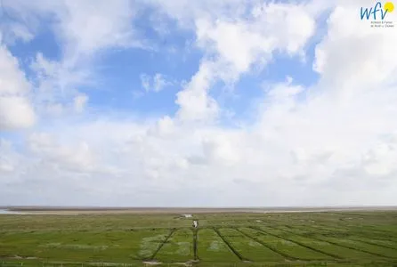 Meerblick Haus Klabautermann Ferienwohnung Karin's Nest