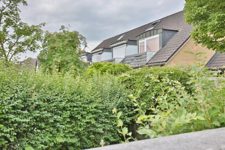 Haus Treibgut