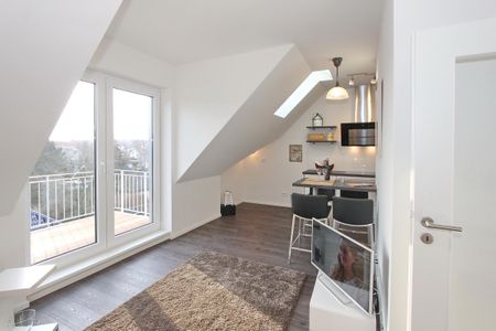 LOUISE Appartement 8