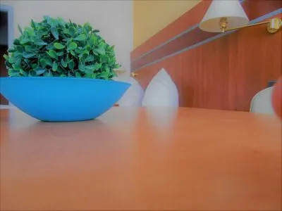 Dekoratives Detail Haus Vier Jahreszeiten am See HS 581