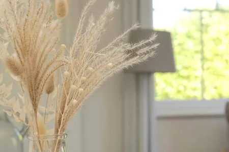 Dekoratives Detail Gemütliche Ferienwohnung Schleistübchen in Fahrdorf für 2 Personen