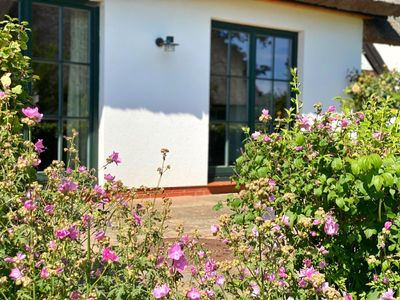 Groß Stresow - Irmi´s Kate - Ferienhaus und Doppelhaushälfte mit großem Garten