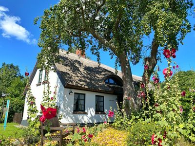 Groß Stresow - Irmi´s Kate - Ferienhaus und Doppelhaushälfte mit großem Garten