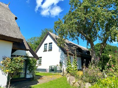 Groß Stresow - Irmi´s Kate - Ferienhaus und Doppelhaushälfte mit großem Garten
