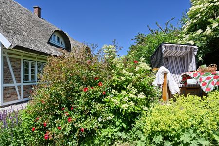 Landhaus Vilmnitz - Wohnung 9