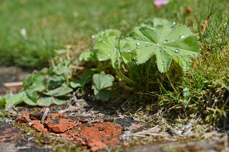Landhaus Vilmnitz - Wohnung 1