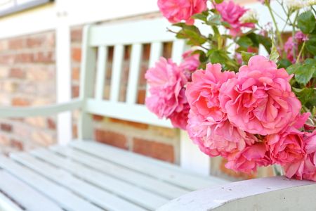 Landhaus Vilmnitz - Wohnung 1