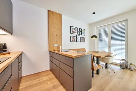 Küche / Küchenzeile Hirsch