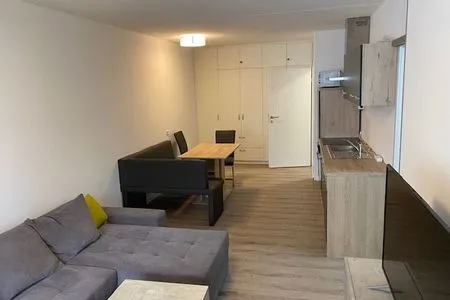  Apartment 3/ 502