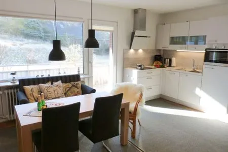 Küche / Küchenzeile Haus Seehund Ferienwohnung *Hörmann*