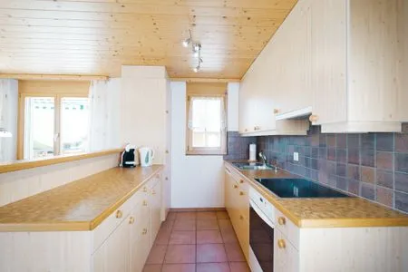 Kitchen Apartment Brugg