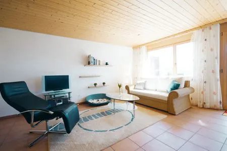 livingroom with couch Apartment Brugg
