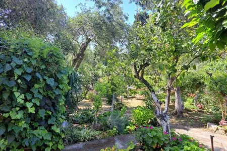Garden  Ilias