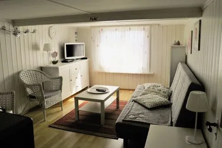 Im Wohnzimmer kann man gemütlich TV schauen Apartment  Karli 1