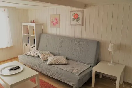 Das Sofa lädt zum verweilen ein Apartment  Karli 1