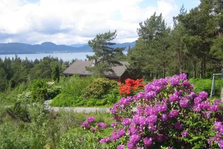 Hauptansicht Fjordhytte-38