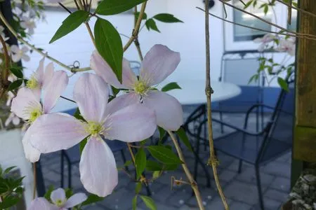  Ferienwohnung Kleine Auszeit Nr. 1