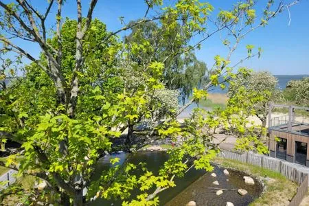 Haus Prerow Appartement 43 Zingst - 