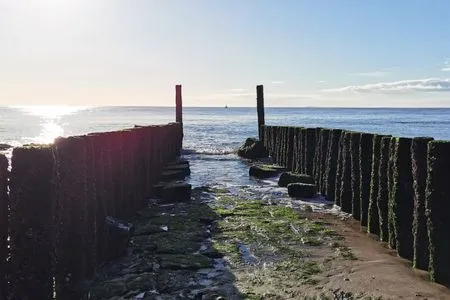 Breskens Chalet Herzklopfen mit Zaun Hausnr. B092 Breskens / Zeeland - 