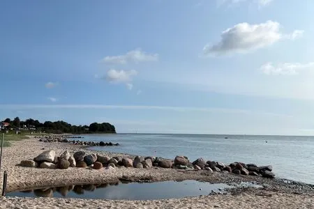  Ferienhaus "Lütt Hüs"