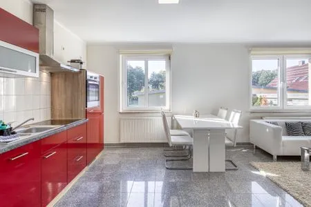 Ferienhaus Sunshine Blick auf die offene Küche  Sunshine