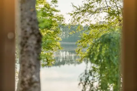 Meerblick  Schwan