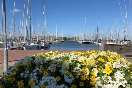 Enkhuizer Strand Chalet WolkeSieben mit Zaun Haus Nr. 202 Enkhuizen / IJsselmeer - 