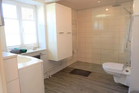 Badezimmer mit Walk-In Dusche und Fußbodenheizung Ferienhaus Poseby