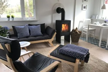 Wohnbereich mit Kamin und Essbereich Blaue Pause