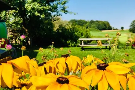 Der Garten in Tante Kamps Hus mit Blick auf die Felder Tante Kamps Hus