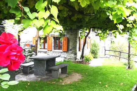  Rustico Ronchini