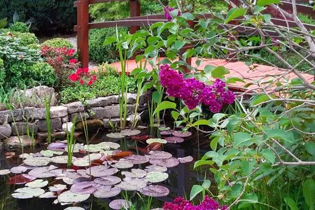 Garten mit kleinem Teich Ferienwohnung Waldblick