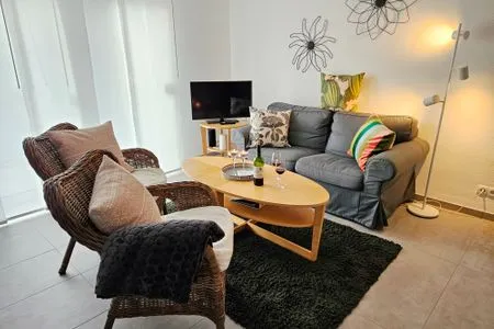 Wohnzimmer mit TV  Birkenstrasse 11a Wohnung 6